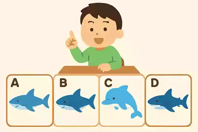 この中に「サメ」ではない生き物がいます。それはどれでしょう？