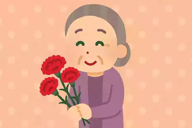 母の日に特別に作られたカーネーションの色は何色でしょう?