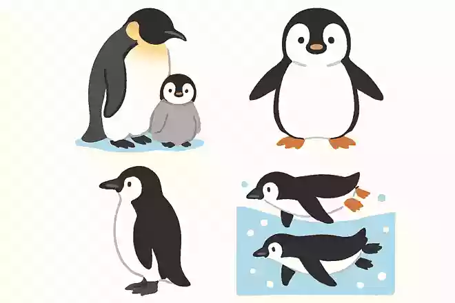 ペンギンの脚はどうなっているでしょうか?