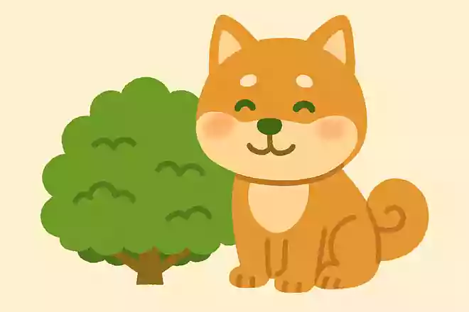 柴犬の「柴」にはどういう意味がある?