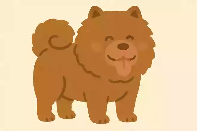 どっちでもええ言うたけど、どっちもどっちでどっちもようないやんけ