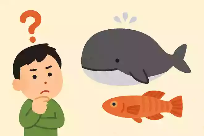 クジラよりも大きくて、メダカよりも小さい生き物はなんでしょう?