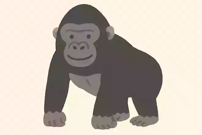 ニシローランドゴリラの学名はなんでしょう?