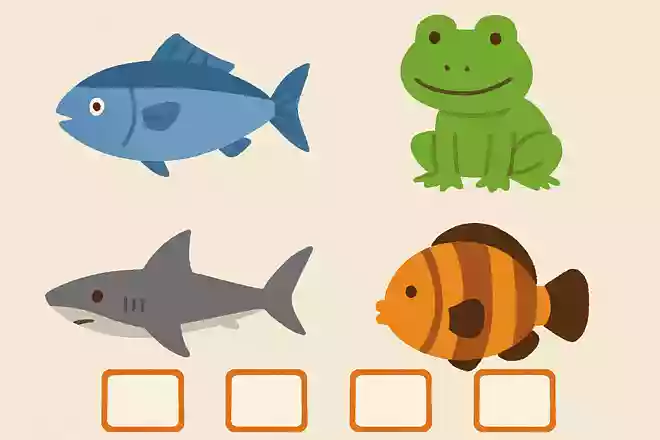 この中で魚じゃないのはどれ?
