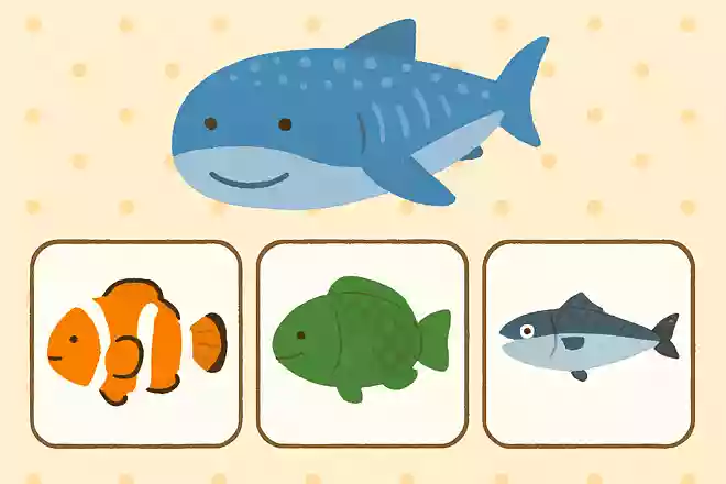 寝ている時も泳ぐ魚はどれ?