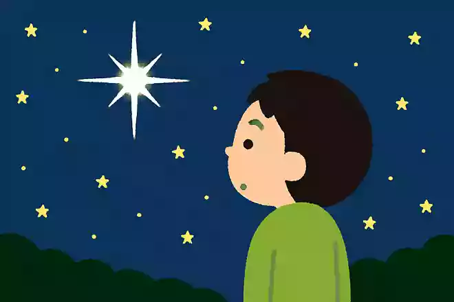太陽を除いて地球から1番明るく見える星はシリウスである