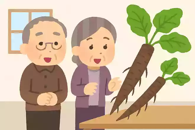 外国では「木の根っこ」のイメージがあり、食べられていない野菜は何でしょうか?