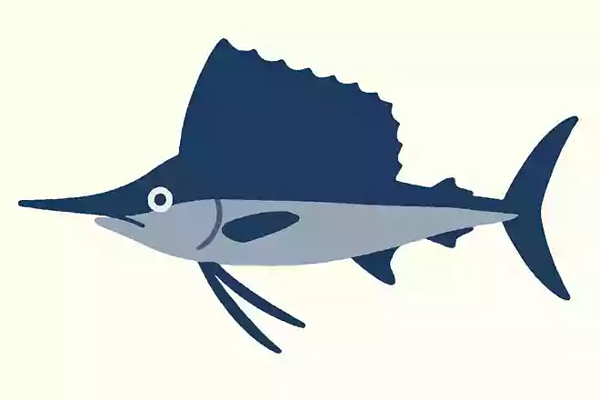 世界一泳ぎが速い魚は？