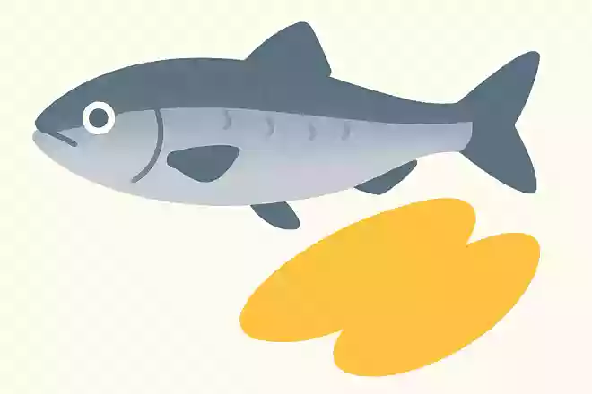 数の子は何という魚の卵で作られるでしょうか?