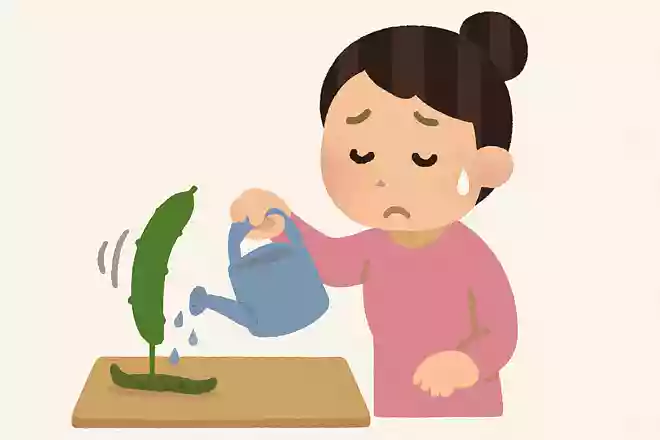 しなびたきゅうりを復活させるにはどうすればいいでしょう?