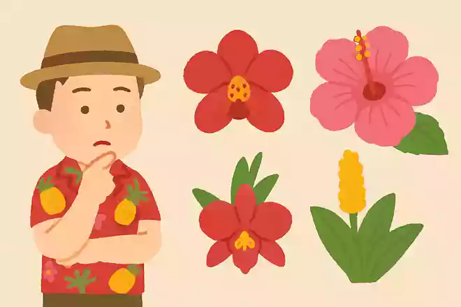 沖縄県の県花は、次のうちどれでしょうか?