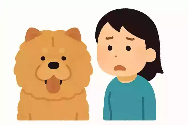 ちゃう言うたんちゃうけど、ちゃうちゃう言うたんはちゃうちゃうやろ
