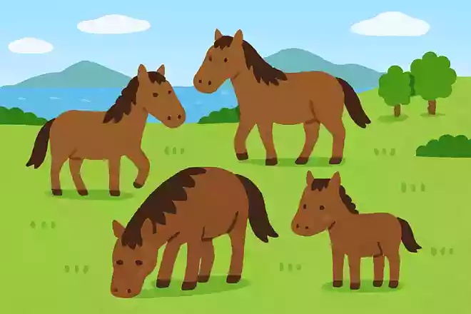 野生の馬が生息している