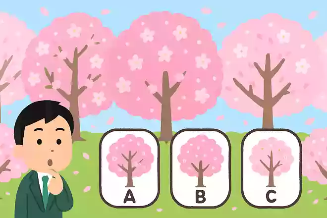 東京都が桜の開花宣言をするのはどこの桜?