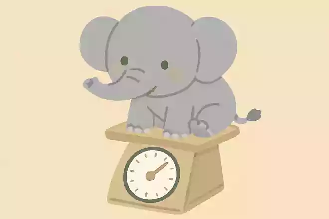 ゾウの赤ちゃんはどれくらいの重さ?