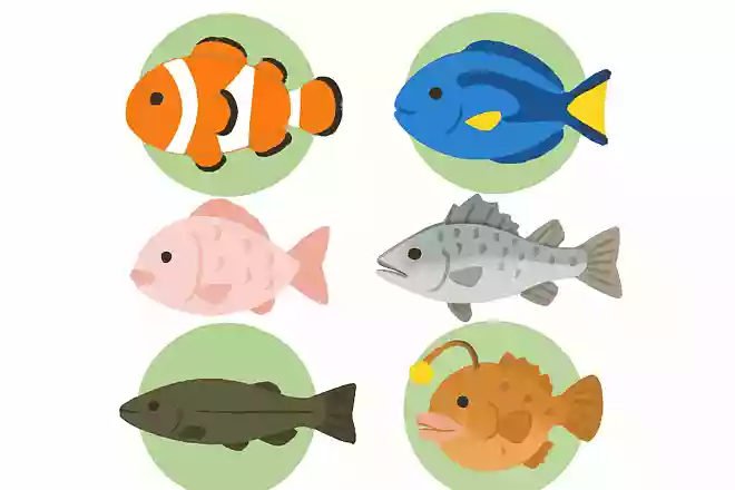 この中で本当にいる魚の名前は?