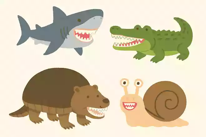歯の数が一番多い生き物はどれ?