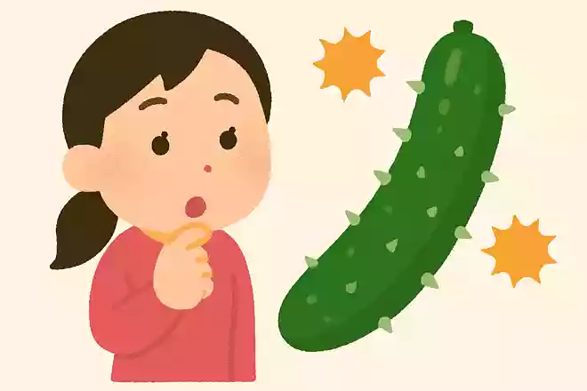 キュウリにトゲがある理由はどれでしょう？