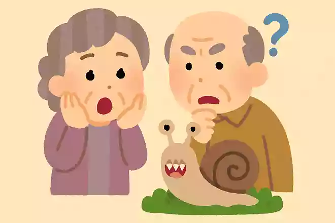 カタツムリの歯の数はいくつでしょう?