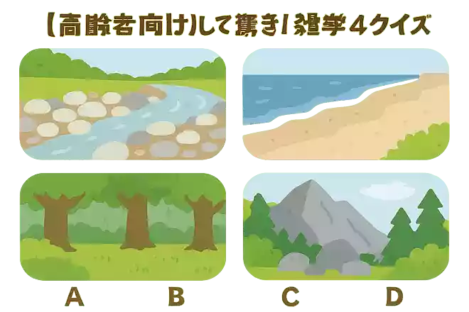 河原のなかで最も丸い石が多くあるのは、次のうちどこでしょうか?