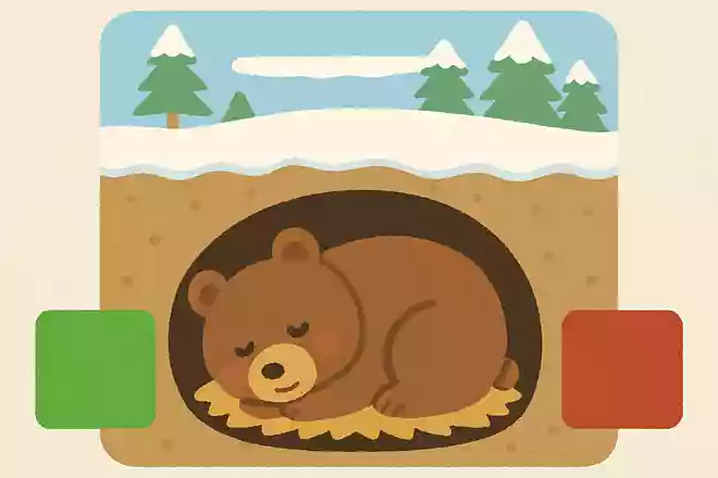 クマは冬に寝ている。○か×か?