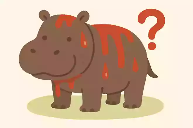 カバの汗は何色？
