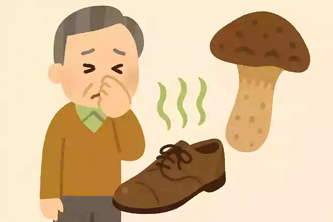 ある日本の秋を代表する高級食材は「革靴にこもった臭い」と評され欧米では食べる習慣がありません。この高級食材は何でしょうか?