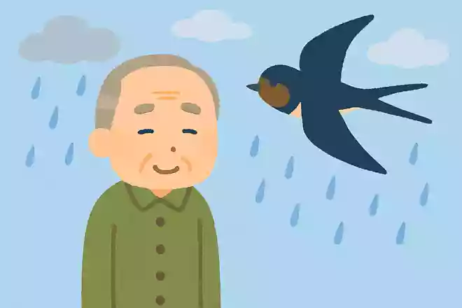 低空飛行していると雨が降ると言われている鳥は何。