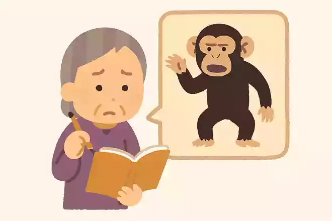 チンパンジーは群れで次のどの行動をすると言われていますか。