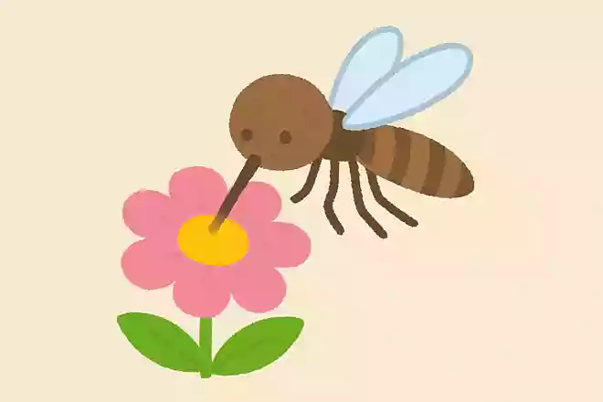 花の蜜を吸う蚊が存在する