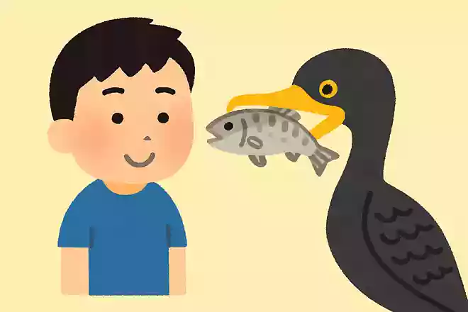 岐阜県の有名な長良川鵜飼は鵜を使ってどんな魚を捕まえているでしょうか?