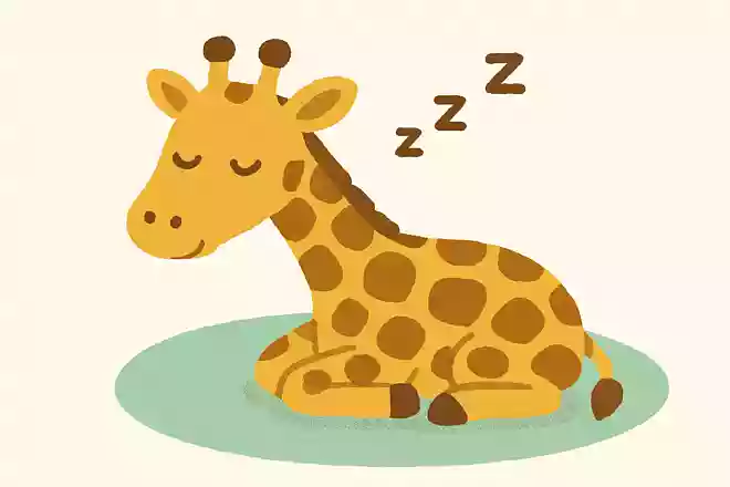 キリンの睡眠時間はどれくらい?