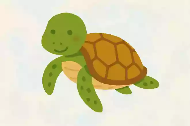 ウミガメの呼吸方法はどれでしょうか。