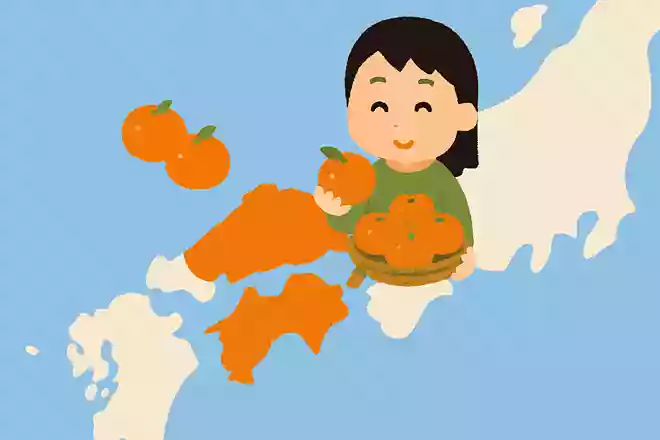 みかんの生産地が日本一の都道府県はどこでしょうか?