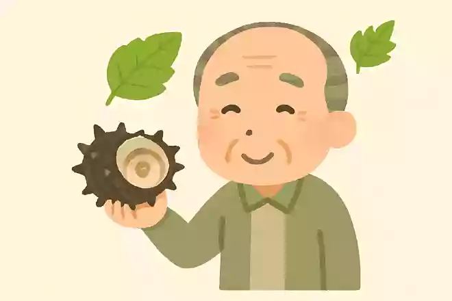 5月に旬を迎える海産物はサザエ