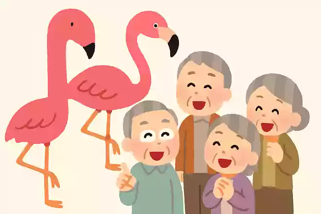 フラミンゴが赤色やピンク色をしている理由は何でしょうか?