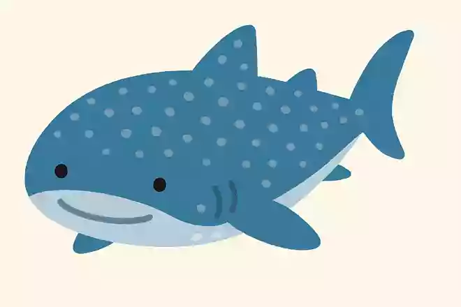 世界一大きな魚の名前は何?
