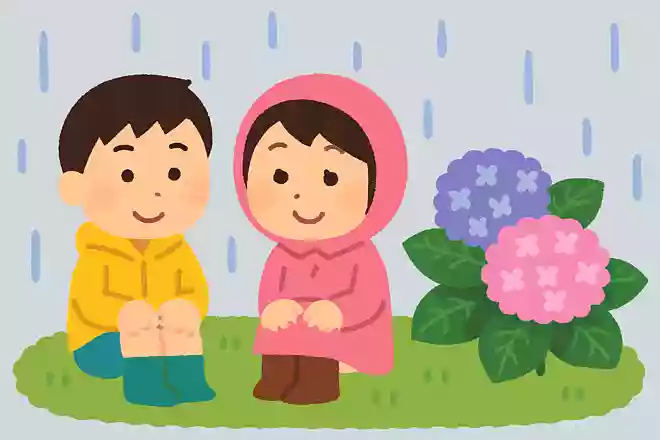 梅雨の時期に咲くアジサイはどこで生まれた花でしょう?