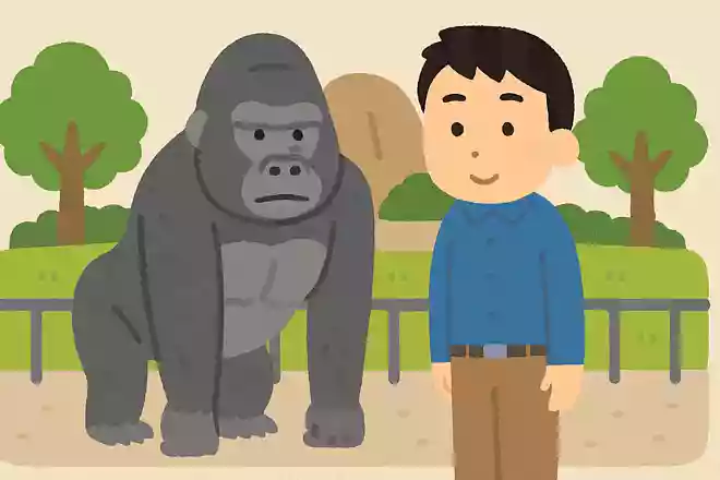 日本の動物園にゴリラが初めてやってきたのは何年?