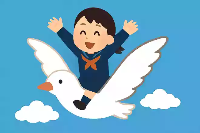 Fly High