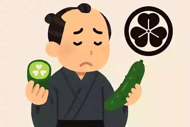 江戸時代、きゅうりを食べるのを避けられていたのは、きゅうりの断面がどこの家紋に似ていたからでしょう?
