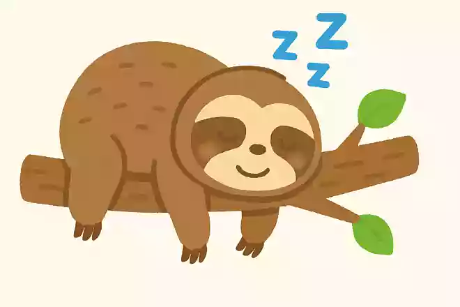 世界一寝ている時間が長い動物は?