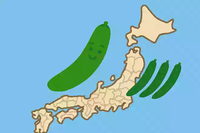 きゅうりの生産量が日本一の都道府県はどこでしょう?