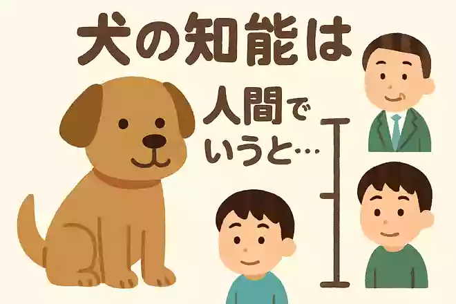犬は人間で言うと何歳くらいの賢さだと言われている?