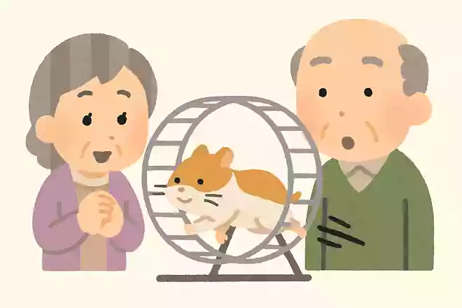 ハムスターは1日の中で、どのくらいの距離を走るでしょうか?