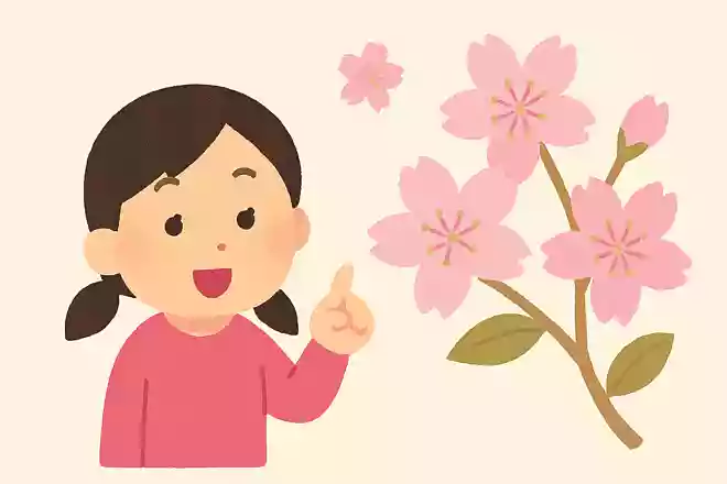 桜は英語でなんと言うでしょう?
