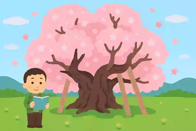 推定樹齢2000年の山高神代桜があるのはどこでしょう?