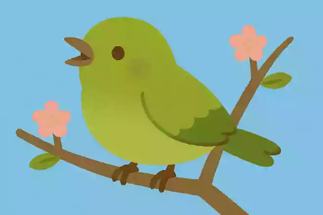 鶯