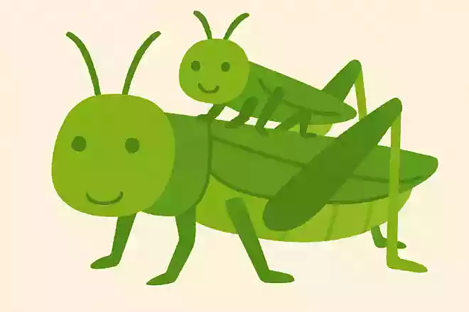 オンブバッタは大きいバッタが小さいバッタをおんぶしているが、2匹の関係は?