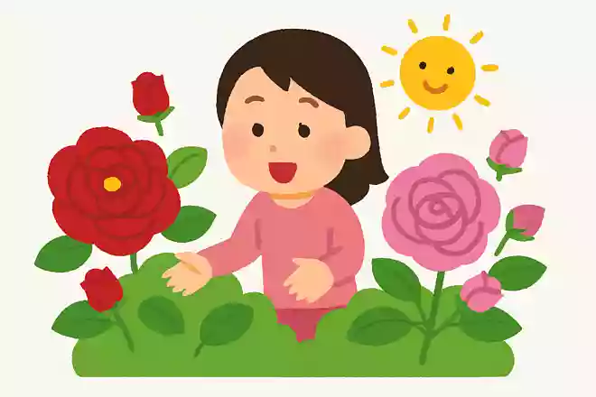 5月頃に花を咲かせるバラは色以外に何で花言葉が変わるでしょうか?